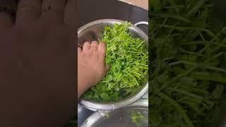 How to store coriander Leaves in fridge for 15-20 days