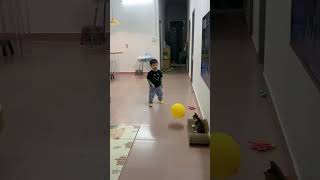 动物幼崽和人类幼崽一起玩气球真开心