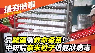 救命疫苗全靠它 生技廠用雞蛋製造疫苗 中研院以奈米粒子模仿冠狀病│政常發揮