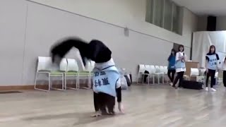 東村芽依 2　メイちゃんSASUKE出場おめでとう