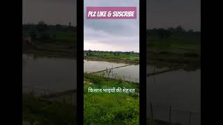 #मेरे देश की धरती#kisan#farmer#india#bharat#trending #trucktraveller