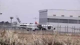 謎の動物色？！成田空港から離陸。