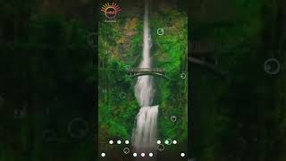 MBit Music : Particle.ly Video Status Maker