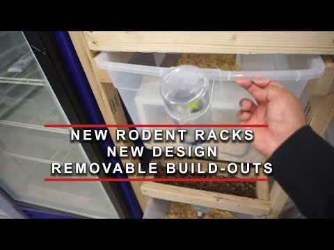 NEW RAT RACKS | NEW STRATEGY |