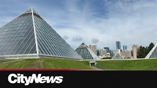 City of Edmonton uses AI-generated ad for Muttart Conservatory Exhibit