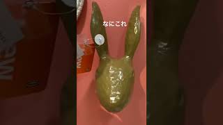 IKEAの秋　新商品やば#garden #ガーデニング #小さい庭