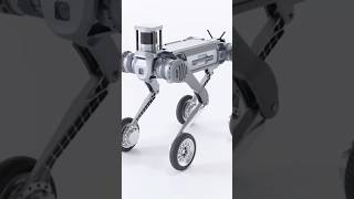 This Robot dog Won't Bite But... #robotics #unitreeb2w
