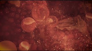 ❣️Into the Bathtub of Desire I Immersive Experience