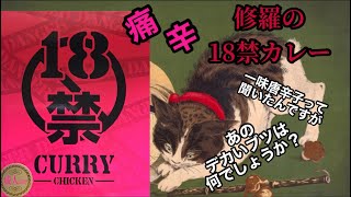 【ひとり激辛チャレンジマッチ　第5回目】修羅の18禁カレー・痛辛編