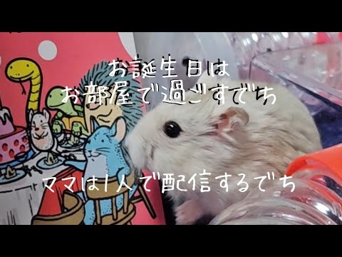 ハムハリー と雑談の時間