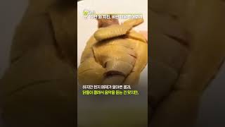 치킨 반마리에 10만 원? 비싼 이유 물어보니… [shorts]