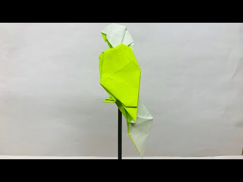 折り紙【インコ、オウム】の折り方　(リアル)
