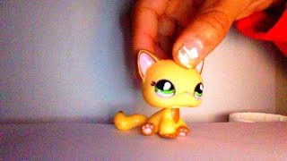 Little did you know~Music Video~LPScam