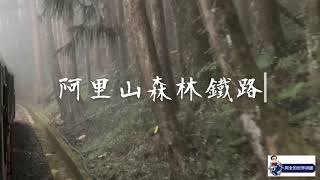 《迷霧中的阿里山森林鐵路》#阿里山 #阿里山森林鐵路 #高山鐵道