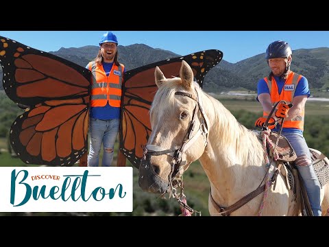 Outdoor Playground and Horseback Riding | Handyman Hal meets awesome animals #discoverbuellton