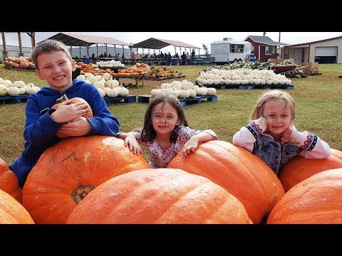 Halloween Pumpkin Patch Adventure Video for Kids Family Friendly Videos by Kinder Playtime