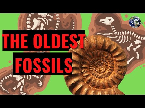 The OLDEST Fossils on Earth Revealed!