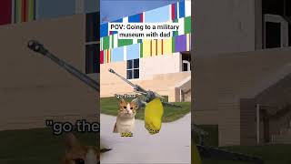 CAT MEMES 🐱 Going to a military museum with dad #catmemes #relatable