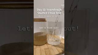 Float Test On My First Sourdough Starter