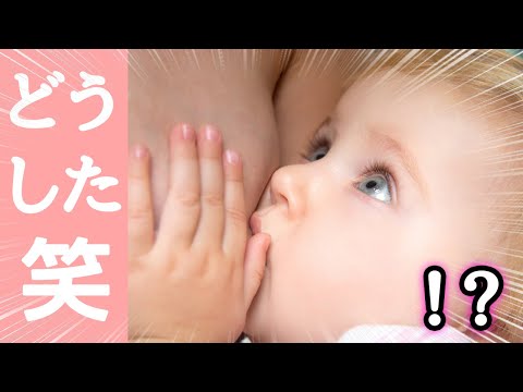 【第三弾】赤ちゃんのボケてがツッコミどころ満載だったｗｗｗ【おもしろ画像】【ツッコミ系youtuber】【天才的な殿堂入りボケて】【授乳】【可愛すぎる】