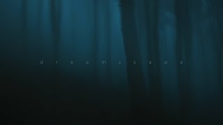 .diedlonely - bipolar