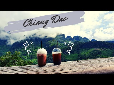 Chiang Dao | Cinematic and Guide | Desi abroad