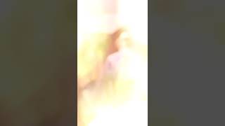 明日葉樂活園區
