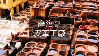We LOVE Babouche 摩洛哥手工全皮拖鞋