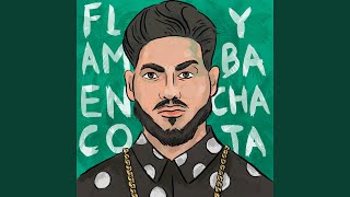 Flamenco y Bachata