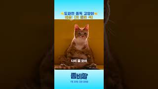 [좀비딸] TV 좀 볼 줄 아는 고양이애용🐱