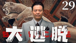 犯罪悬疑电视剧|【大逃脱】29 新人卧底与毒枭老大夺命博弈，开启被暗藏黑帮追击与虎口逃生的惊险之路（《扫黑风暴》赵小锐 、王奎荣）-中国电视剧