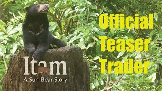 Itam: A Sun Bear Story | Official Teaser Trailer