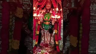 Chitra Pournami Vadivudai Thiruvudai Kodiyidai Amman darshan 🙏 #youtubeshorts