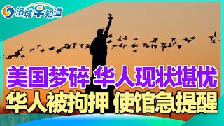 美国梦碎 华人现状堪忧!华人新移民抵美 惨被同胞骗三次!华人被拘押 使馆急提醒!月入$2万 LA华人网红被捕!开始清算 美国多渠道收集移民信息!美国房产冻结 三大风险! I洛城早知道20250721