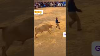 Epic Fails That Will Have You Laughing Out Loud | Hilarious Fail Compilation 2025