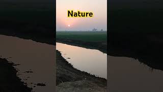Nature video
