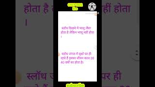 स्लॉथ evs ctet 2022 | पर्यावरण अध्ययन | ctet previous years question| evs most important question