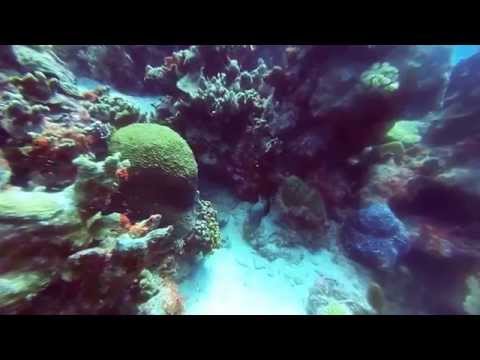 Bonaire dive trip Dec. 6th - 13th 2014