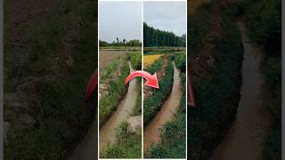 Transform Your Photos with Adobe Firefly Generative Fill !! 🤯🤯 #shorts #adobefirefly #ytshorts