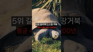 인간보다 오래사는 동물 Top6 #인간 #동물