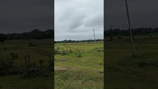 #biharlrc #nature #lrcbihar #shortvideo #shortsfeed #shortsviral #villagelife #viralreels #ytshorts