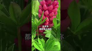 人生不一定要赢，但绝对不能输给过去的错误和愚蠢 #人生感悟 #禅悟人生 #老人言