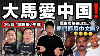 大馬華人都愛中國！？小粉紅拍片解釋：這裡都是用中文！有很多中国元素和文化啊！！｜果然是全世界智商NO.1的民族🫡⋯⋯｜中文字幕（CC）｜JERSON
