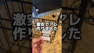 原付に激安でアレ付けてみました。#日本一周 #一人旅 #原付 #リトルカブ #カゴ