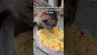 Help hear their voice and help share to spread the world.