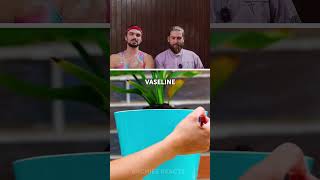 These Plant Hacks Will Grow Your Consciousness!!! 😍 The Dudes REACT to 5-Minute Crafts Plant Hacks!