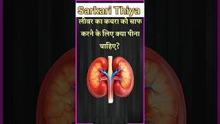 Gk questions|| gkinhindi|| Top20gkquestion|| gkshort|| Gk fact|| interesting Gk questions video