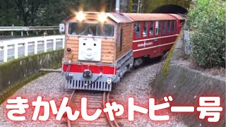 【のりもの図鑑】きかんしゃトビー号（蒸気機関車）・トーマス号のなかまたち｜Day out with Thomas（Thomas & Friends）
