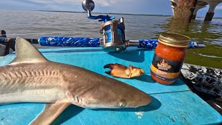 BBQ SHARK and STONE CRAB Catch n' Cook!