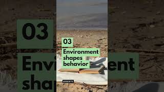 3 Habit Hacks That’ll Change Your Life in 60 Seconds #bookshort #viral #trending #foryou #booktube